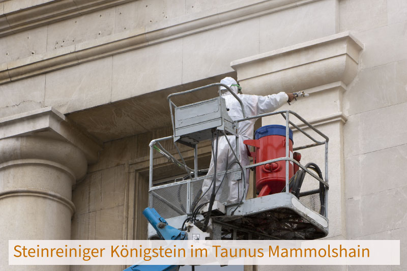 Steinreiniger Königstein im Taunus Mammolshain