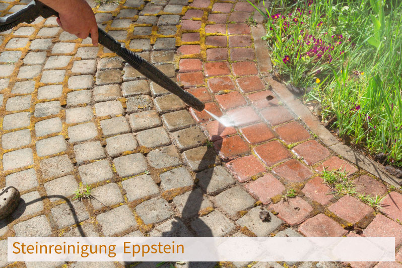 Steinreinigung Eppstein