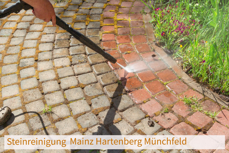 Steinreinigung Mainz Hartenberg Münchfeld